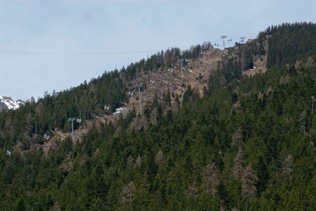 Front Ski Slope Chamonix Apartment エクステリア 写真