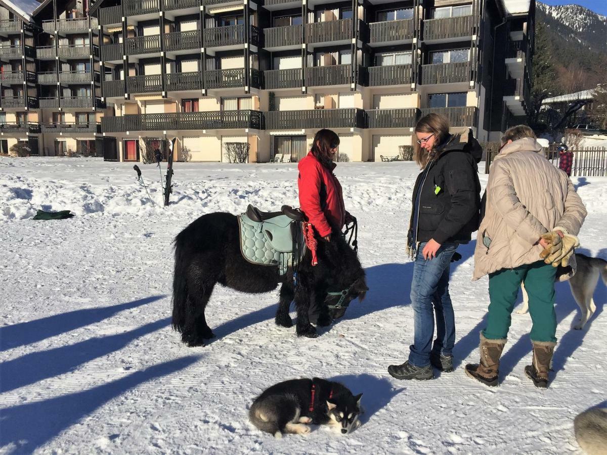 Front Ski Slope Chamonix Apartment エクステリア 写真